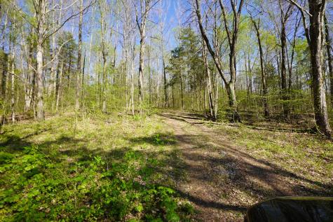 4219 Highway 49 Tennessee Ridge TN 37178
