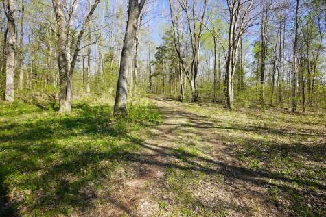4219 Highway 49 Tennessee Ridge TN 37178