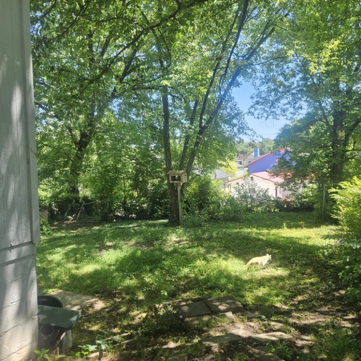 1124 Delaware Avenue Knoxville TN 37921