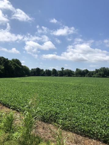 0 Duncan Road Manchester TN 37355