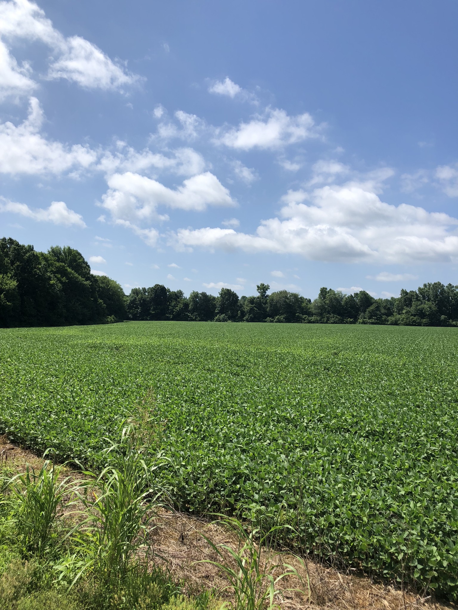 0 Duncan Road Manchester TN 37355