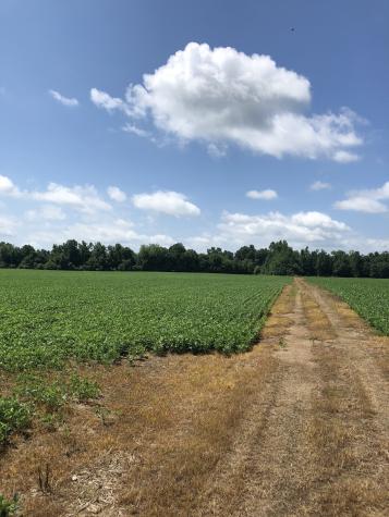 0 Duncan Road Manchester TN 37355