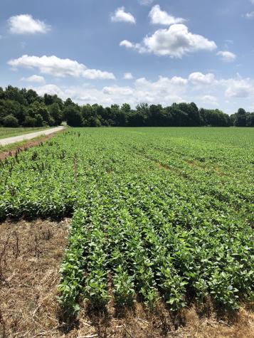 0 Duncan Road Manchester TN 37355