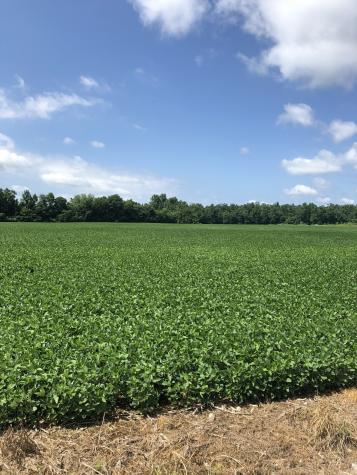 0 Duncan Road Manchester TN 37355