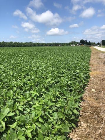 0 Duncan Road Manchester TN 37355