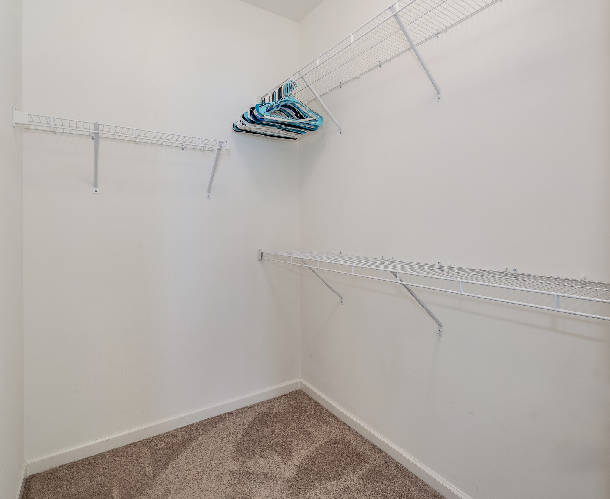 101 Dursley Lane Spring Hill TN 37174