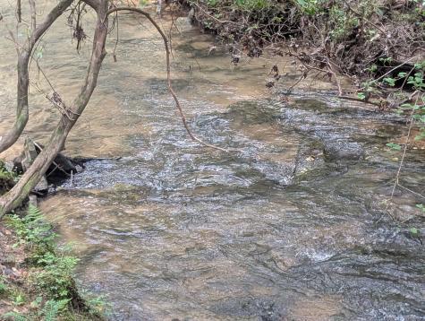 0 55th Avenue East Of Gruetli Laager TN 37339