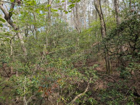 0 55th Avenue East Of Gruetli Laager TN 37339