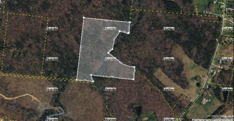 0 55th Avenue East Of Gruetli Laager TN 37339