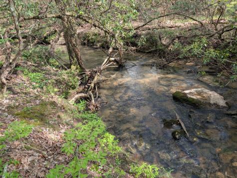 0 55th Avenue East Of Gruetli Laager TN 37339