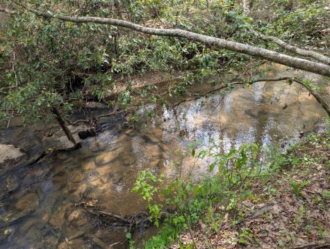 0 55th Avenue East Of Gruetli Laager TN 37339