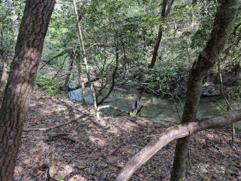 0 55th Avenue East Of Gruetli Laager TN 37339