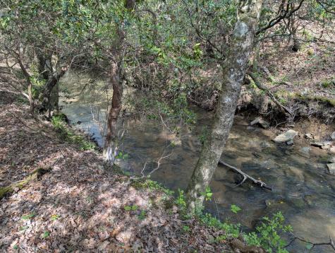 0 55th Avenue East Of Gruetli Laager TN 37339