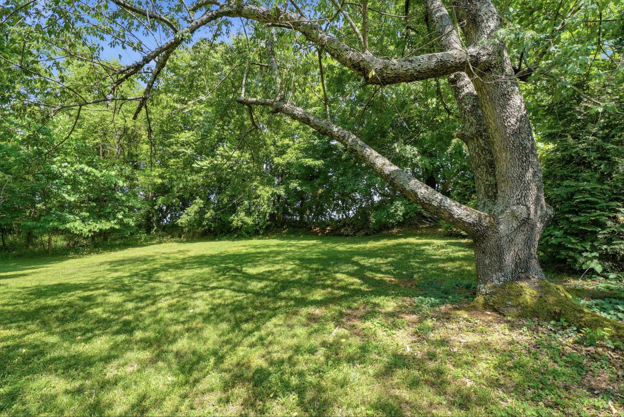 6471 Highway 161 Springfield TN 37172