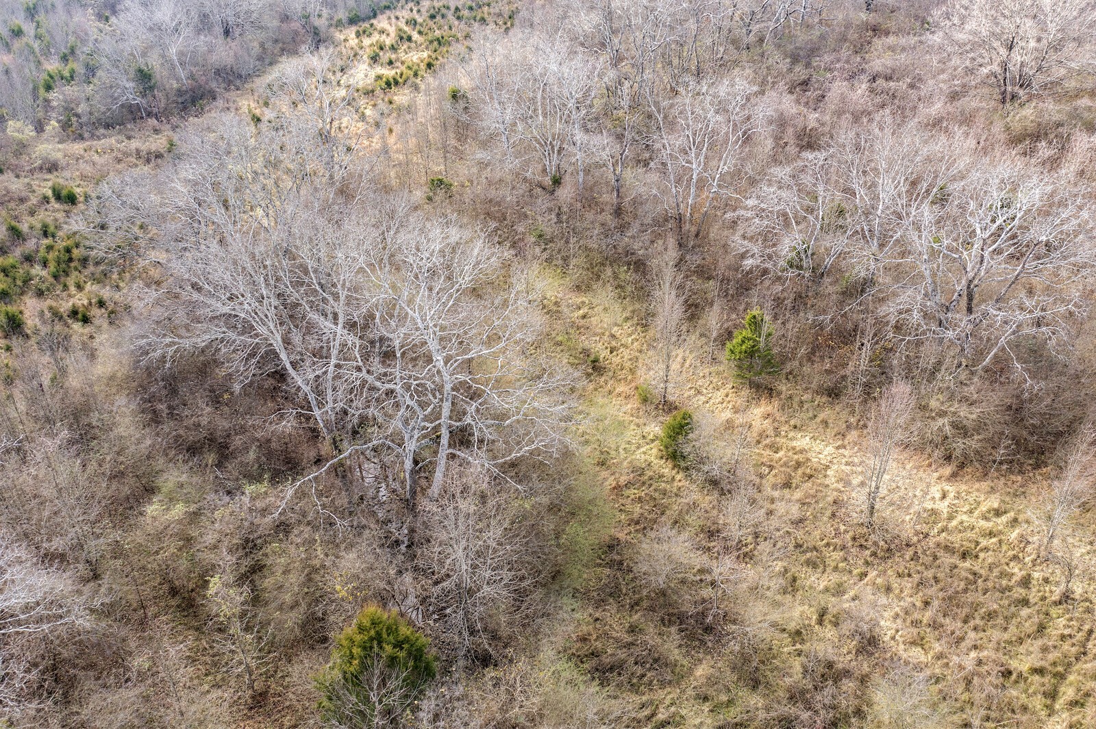 0 Campbell West Road Goodlettsville TN 37072