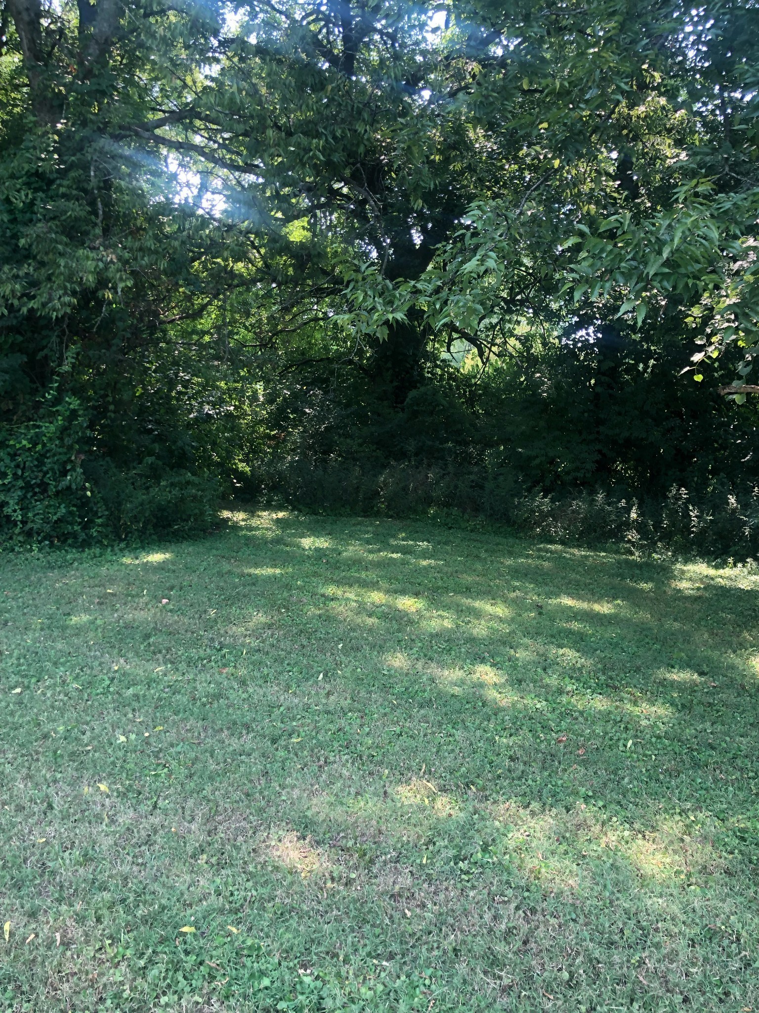 430 Ewing Drive Nashville TN 37207