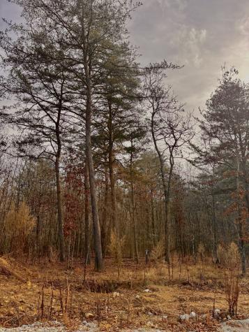 0 Summerfield Road Monteagle TN 37356