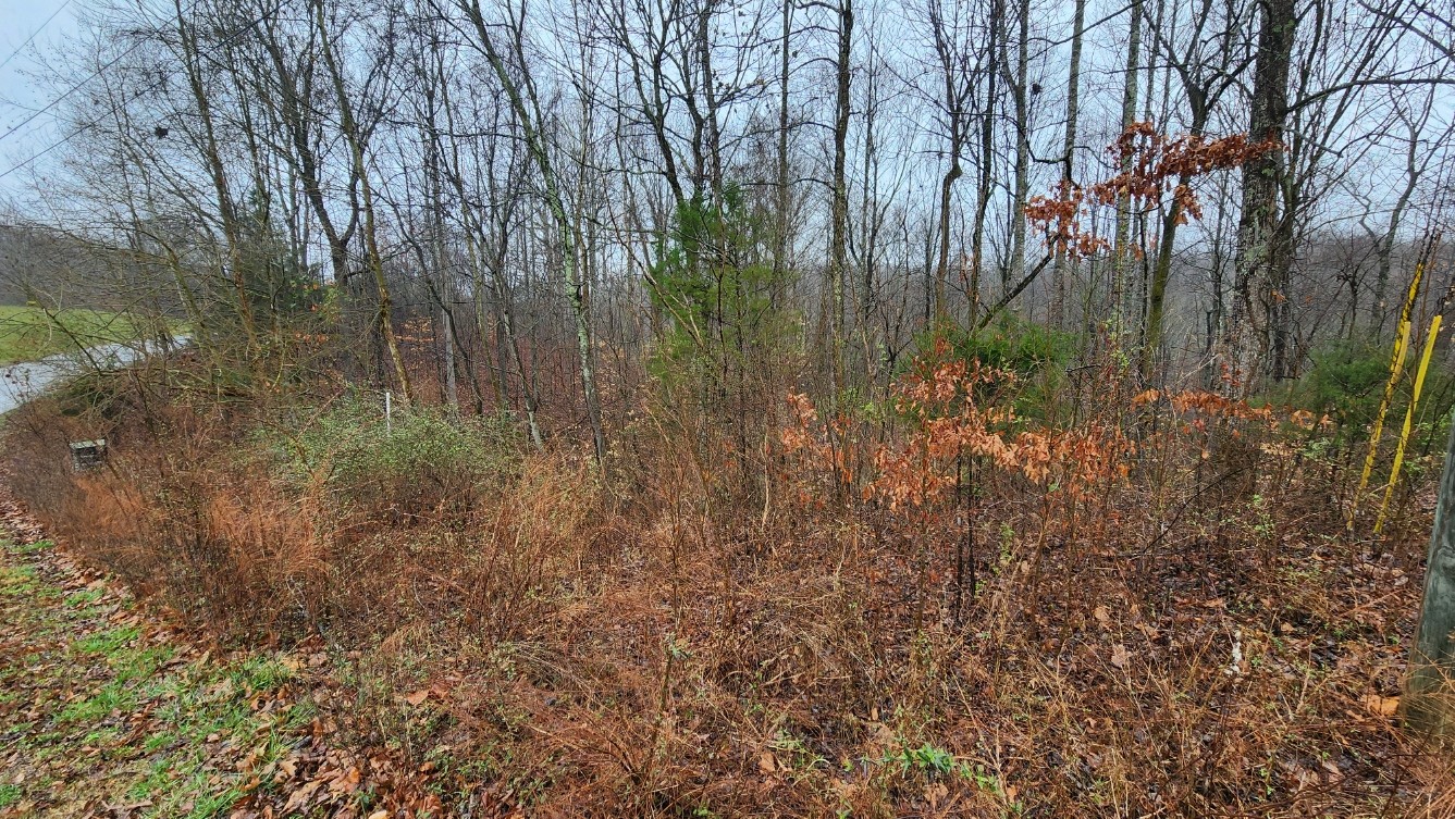 1120 Jacobs Court Joelton TN 37080