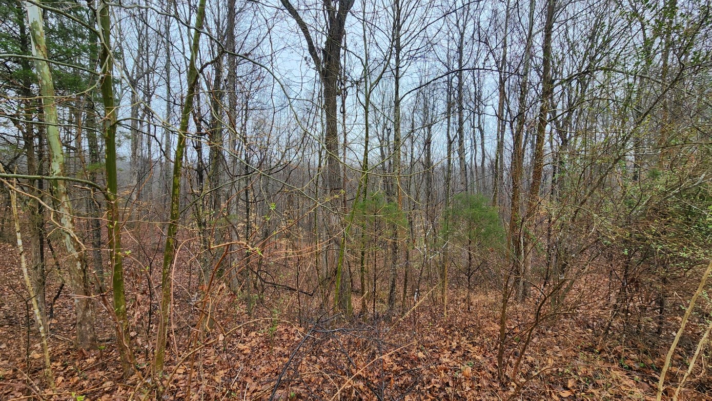 1120 Jacobs Court Joelton TN 37080