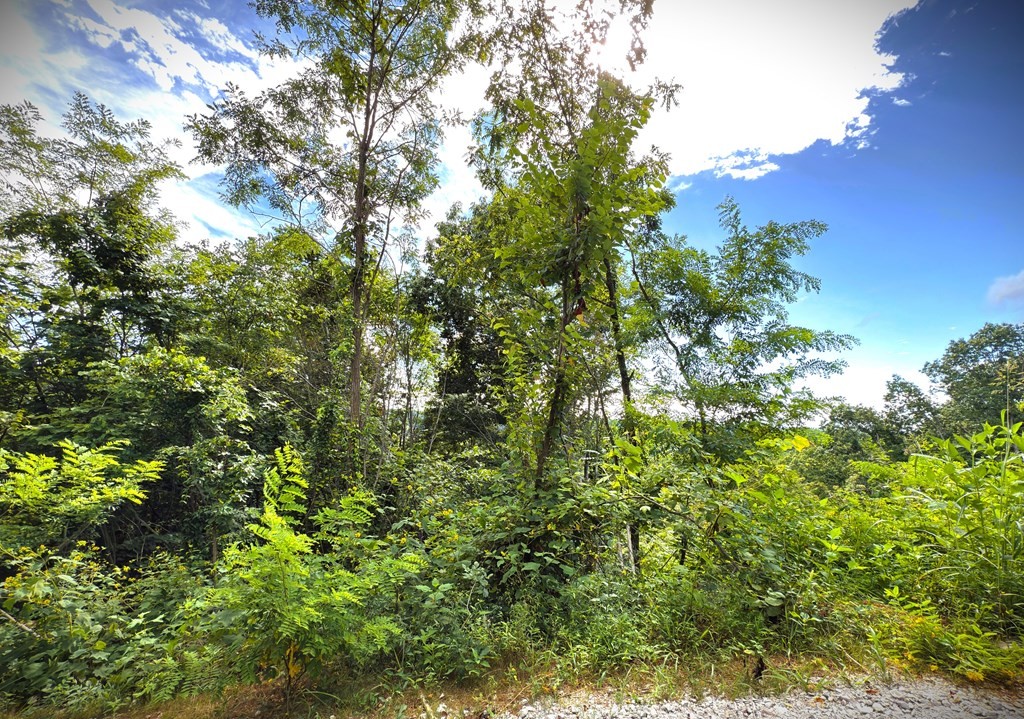 142 Sunfish Lane Hilham TN 38568