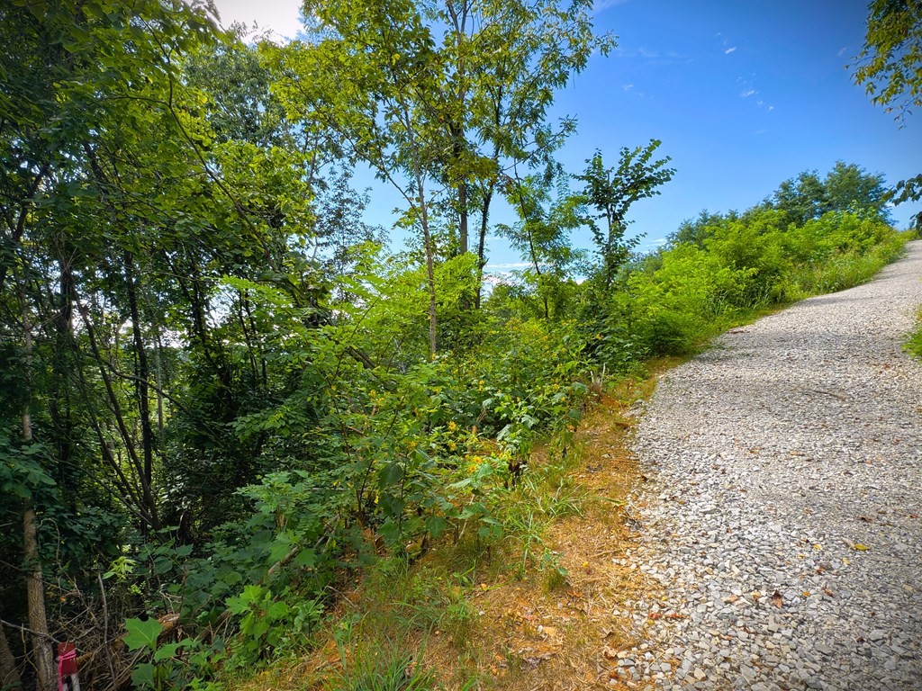 142 Sunfish Lane Hilham TN 38568