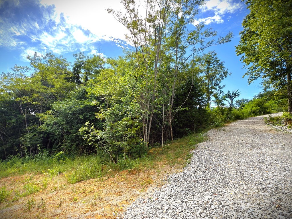 142 Sunfish Lane Hilham TN 38568