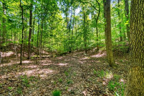 635 Seven Mile Ridge Road Indian Mound TN 37079
