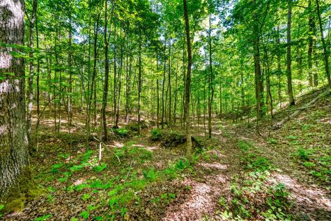 635 Seven Mile Ridge Road Indian Mound TN 37079