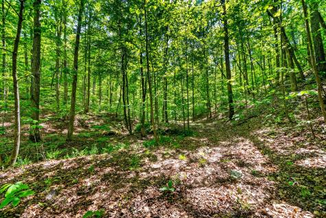 635 Seven Mile Ridge Road Indian Mound TN 37079