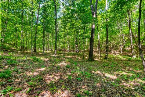 635 Seven Mile Ridge Road Indian Mound TN 37079