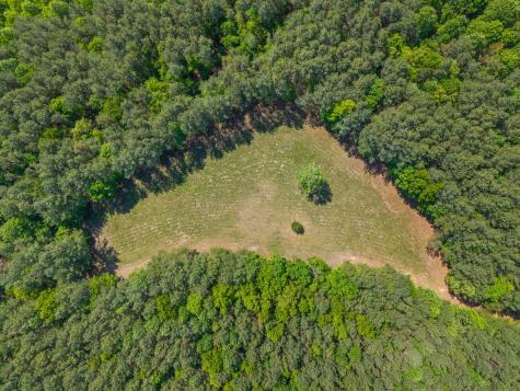 635 Seven Mile Ridge Road Indian Mound TN 37079