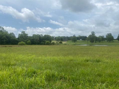 0 Green Mills Road Spring Hill TN 37174