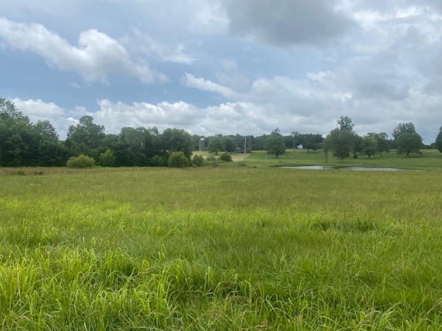 0 Green Mills Road Spring Hill TN 37174