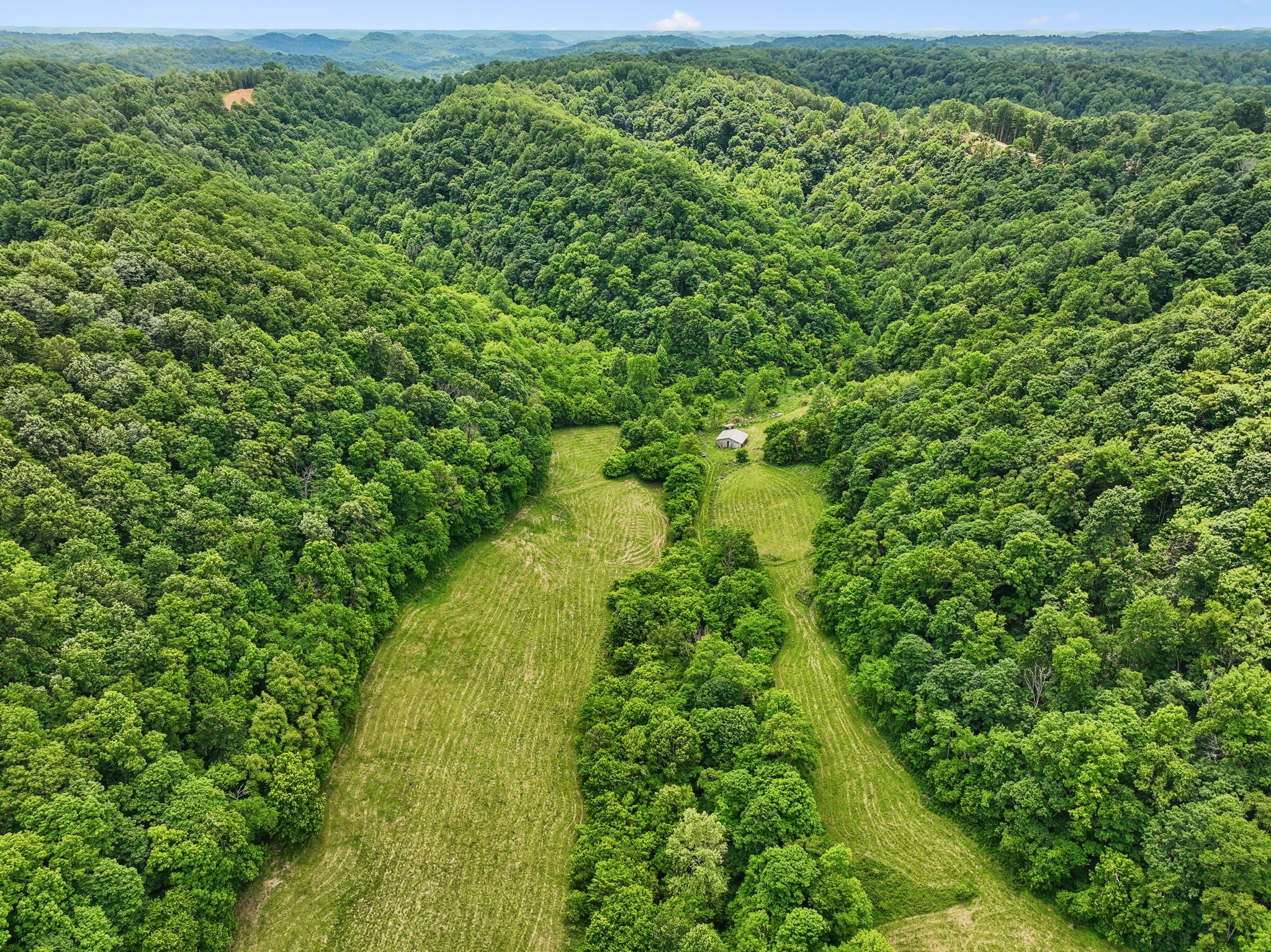 34 Friendship Hollow Road, N Pleasant Shade TN 37145