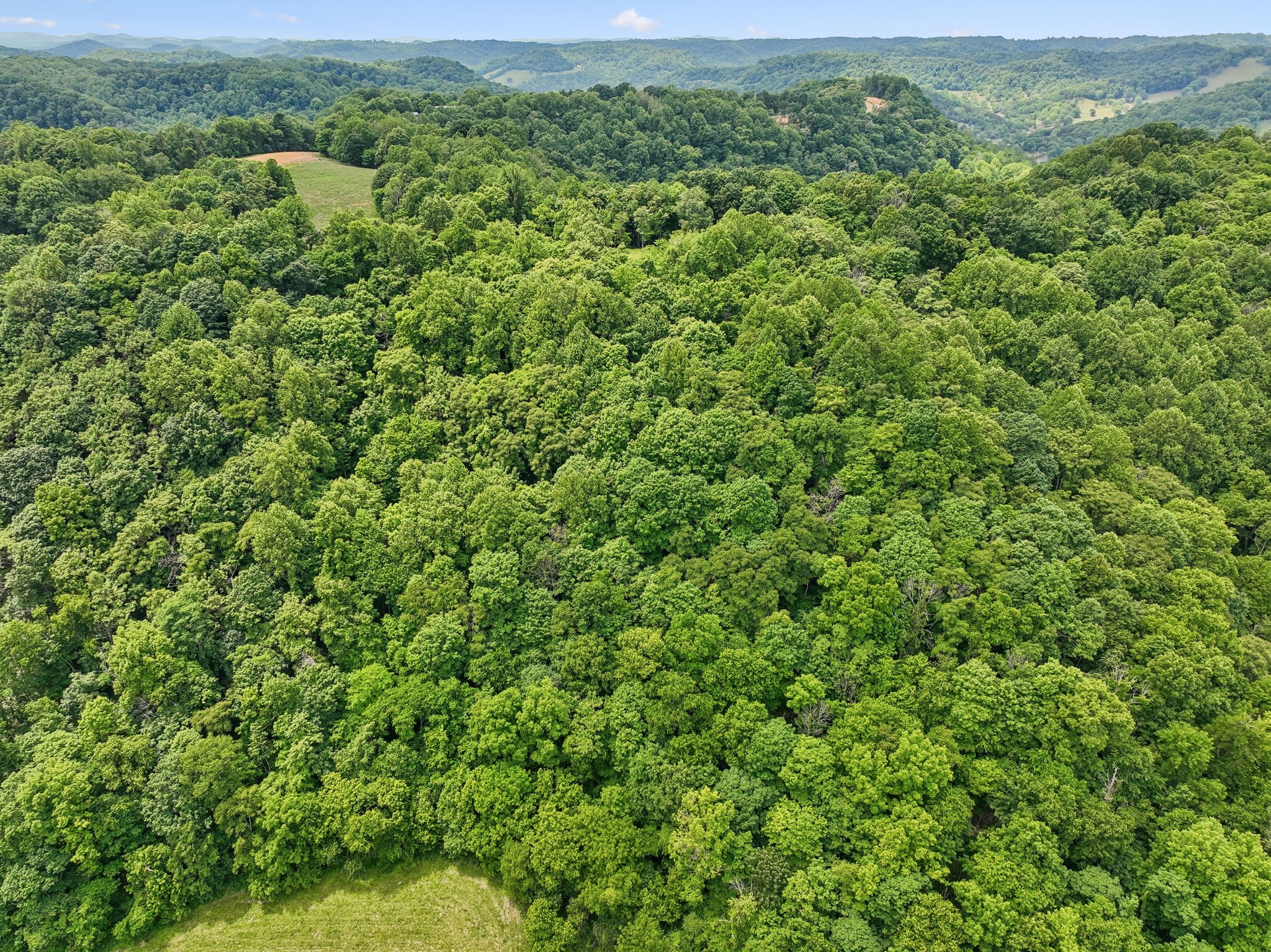 34 Friendship Hollow Road, N Pleasant Shade TN 37145