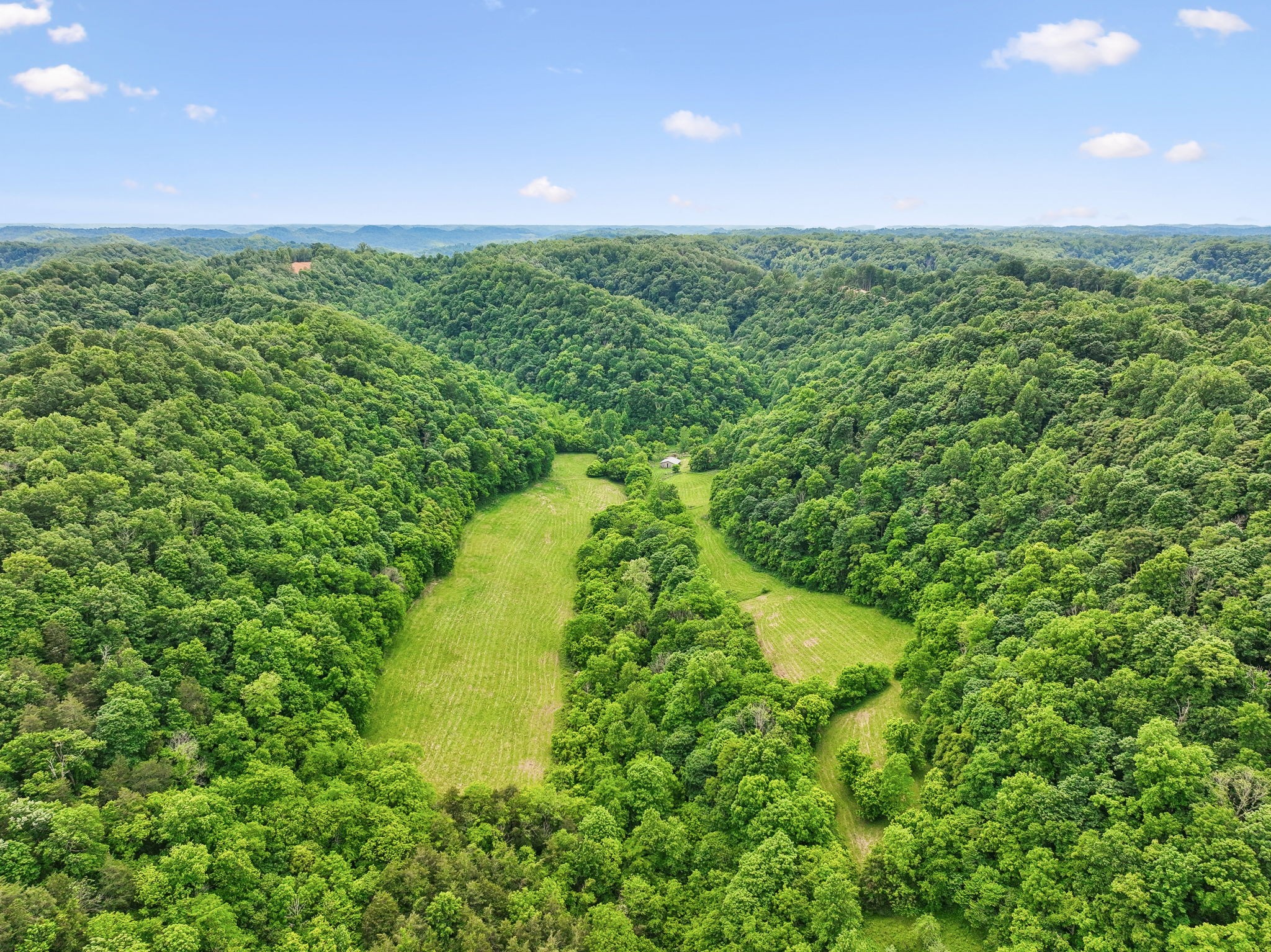 34 Friendship Hollow Road, N Pleasant Shade TN 37145