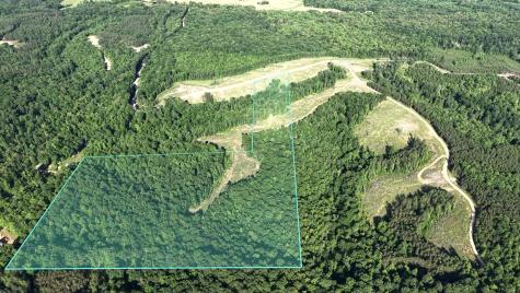 0 Cox Hollow Dover TN 37058