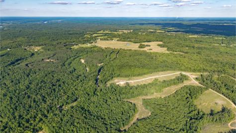 0 Cox Hollow Dover TN 37058