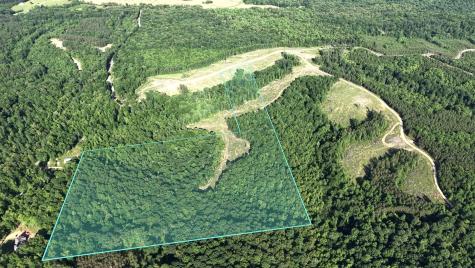 0 Cox Hollow Dover TN 37058