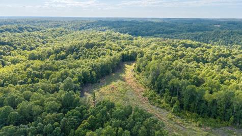 0 Cox Hollow Dover TN 37058