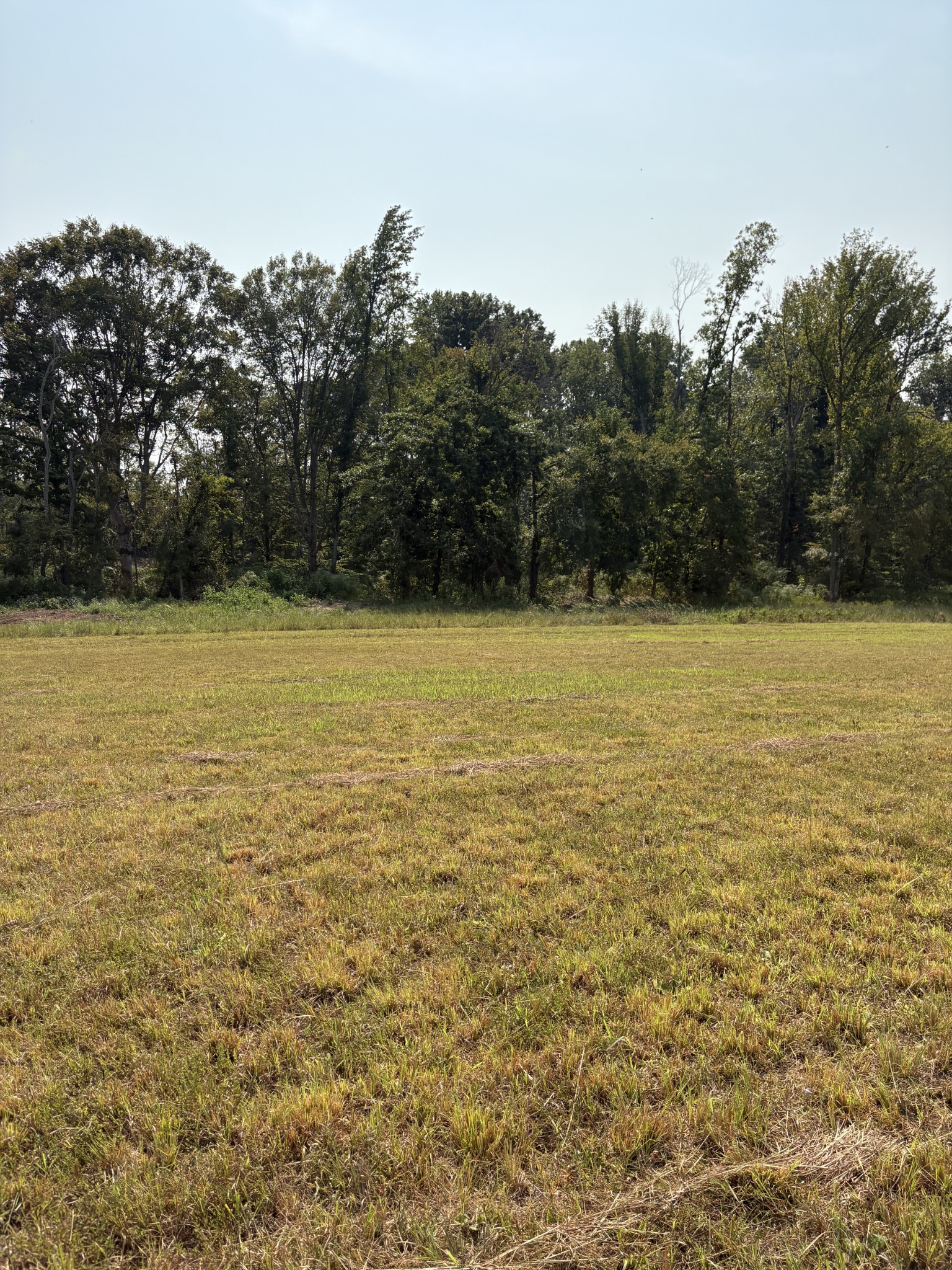 0 Cairo Bend Lebanon TN 37087