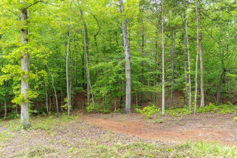 466s Pin Hook Road Sparta TN 38583