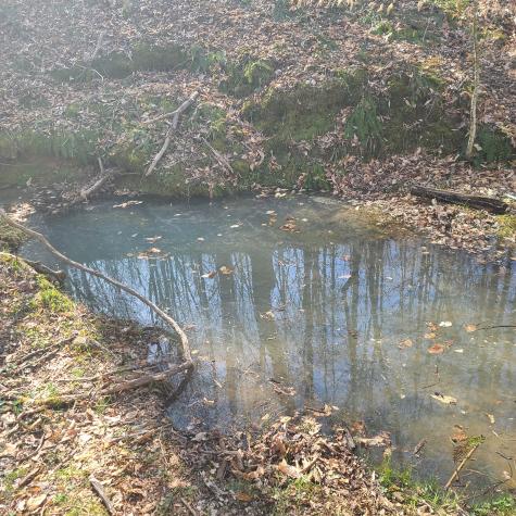 466s Pin Hook Road Sparta TN 38583