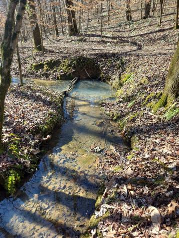 466s Pin Hook Road Sparta TN 38583