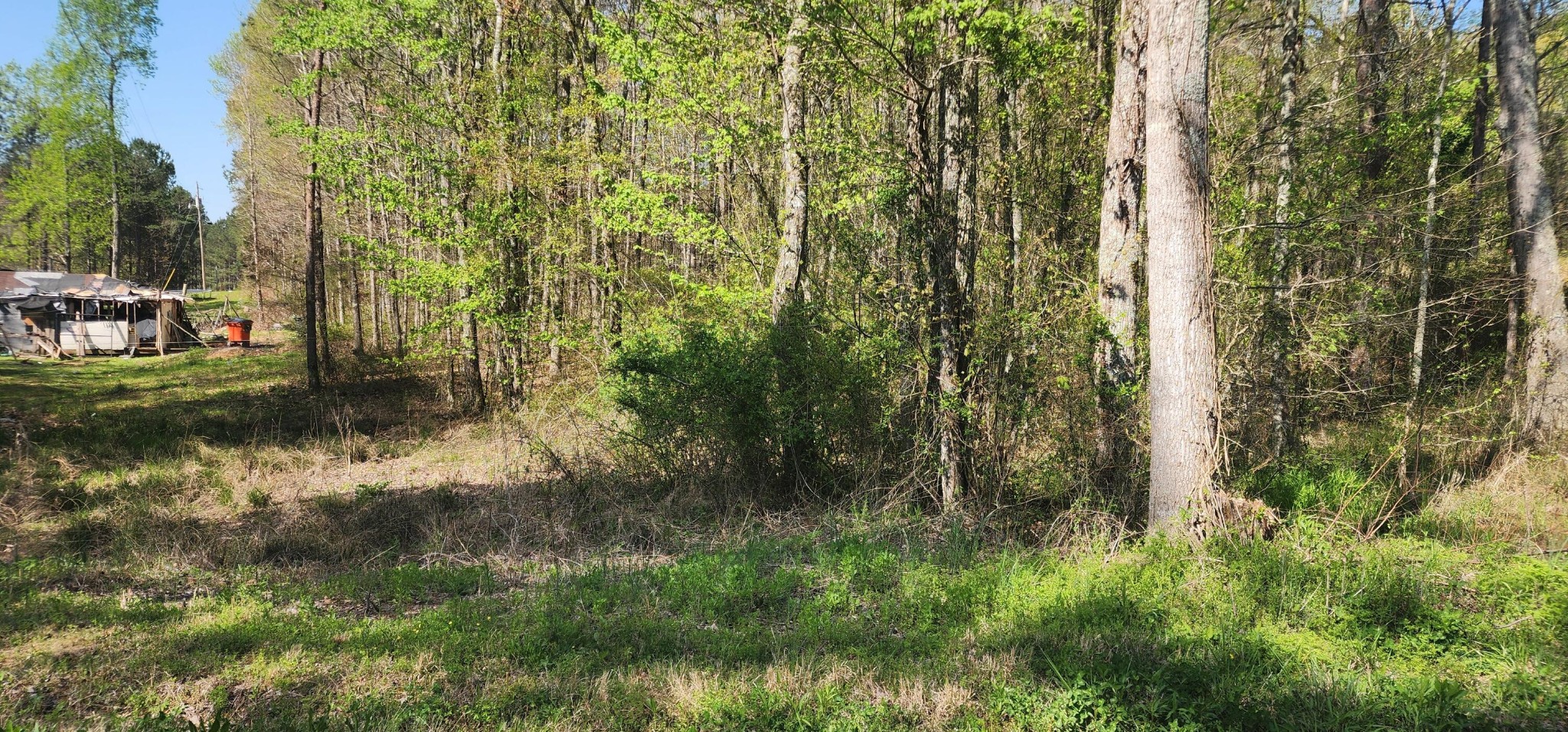 326 County Road 53 Athens TN 37303
