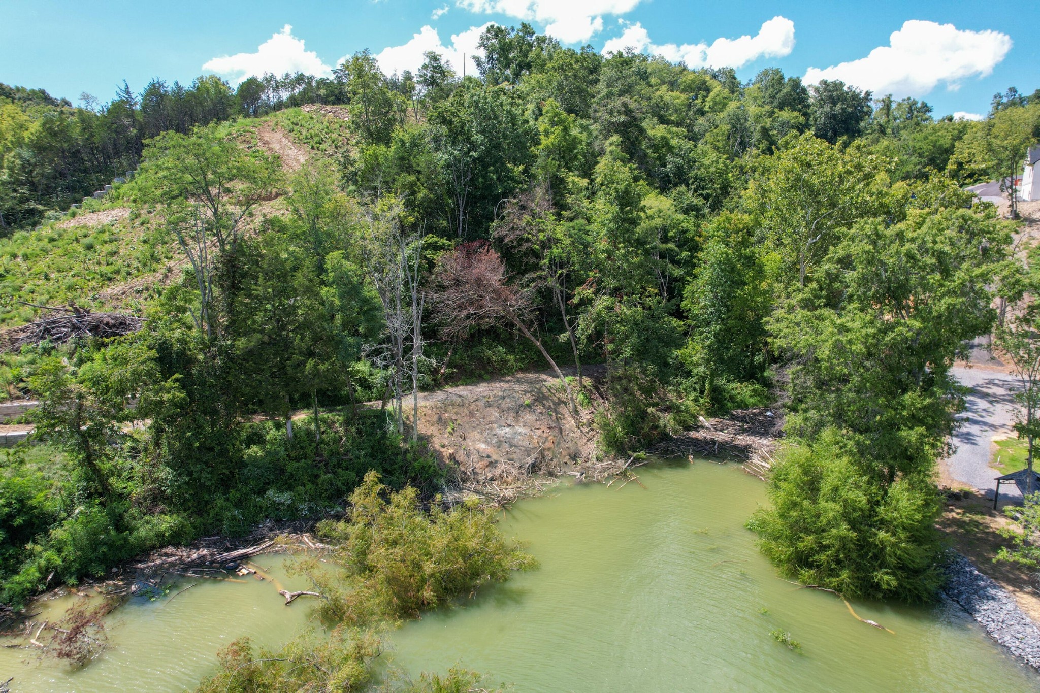 74 Clear Point Dandridge TN 37725