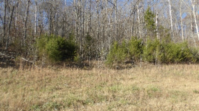 0 Cheyenne Drive Jamestown TN 38556