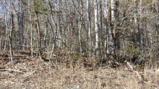 0 Cheyenne Drive Jamestown TN 38556
