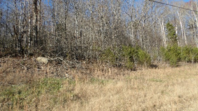 0 Cheyenne Drive Jamestown TN 38556