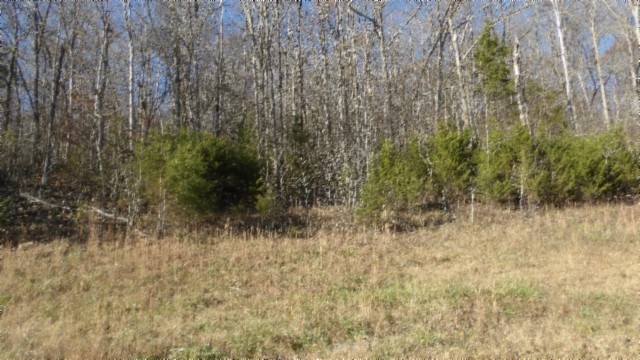 0 Cheyenne Drive Jamestown TN 38556